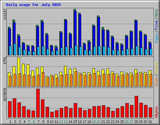 Daily usage for July 2025