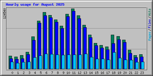 Hourly usage for August 2025